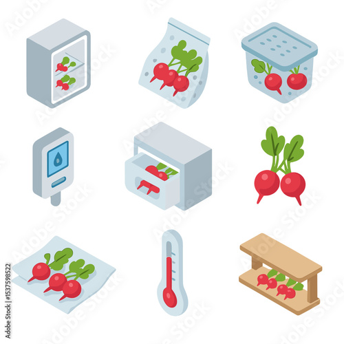 Radish Storage Icons. Isometric Flat icon set of radish storage tips: refrigerator compartment, plastic perforated bag, perforated