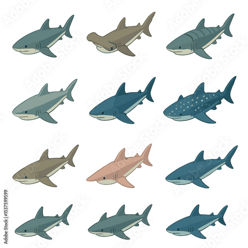 Shark Species Icons. Isometric Flat icon set of shark species: great white shark, hammerhead shark, tiger shark, bull shark, mako