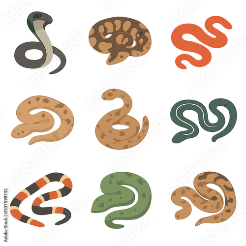 Snake Species Icons. Isometric Flat icon set of snake species: king cobra, ball python, corn snake, boa constrictor, rattlesnake,