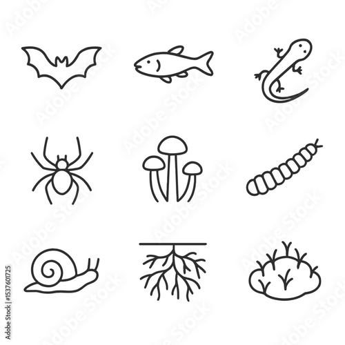 Cave Ecosystem Icons. Outline icon set of cave ecosystems: bat silhouette, blind fish, cave salamander, spider, fungus cluster,