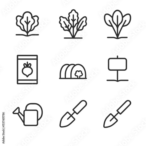 Cool-Season Veggie Icons. Outline icon set of cool-season vegetable planting: lettuce seedling, kale plant, spinach sprout, radish