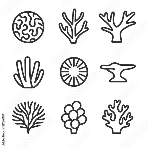 Coral Icon Grid. Outline icon set of coral species: brain coral, staghorn coral, elkhorn coral, finger coral, mushroom coral,