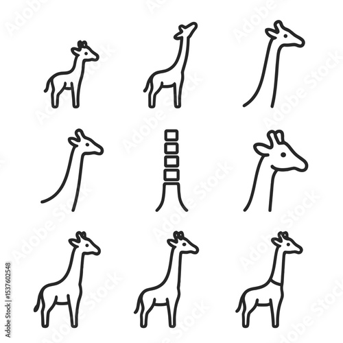 Giraffe Neck Growth Icons. Outline icon set of giraffe neck growth stages: newborn calf, juvenile stretch, subadult length, adult