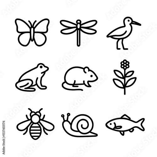 Lowland Biodiversity Icons. Outline icon set of lowland biodiversity: butterfly, dragonfly, marsh bird, amphibian, small mammal,