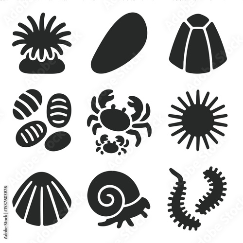 Tide Pool Invertebrates Icons. Solid, filled icons set of tide pool invertebrates: sea anemone, mussel,