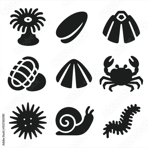 Tide Pool Invertebrates Icons. Solid, filled icons set of tide pool invertebrates: sea anemone, mussel,