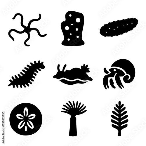 Benthic Invertebrates Icons. Solid, filled icons set of benthic invertebrates: brittle star, sponge, sea