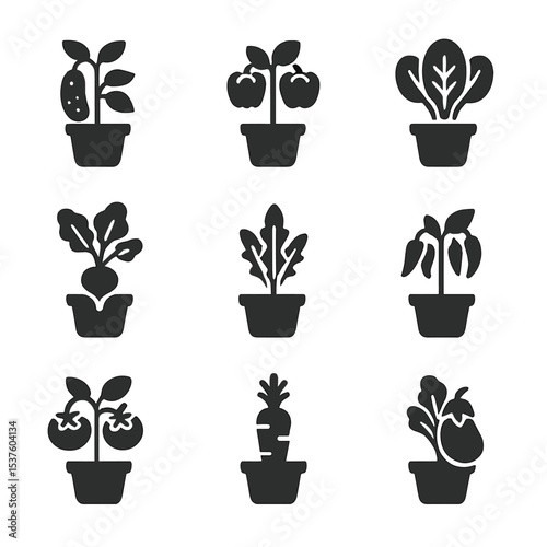 Container Plant Icons. Solid, filled icons set of container vegetable plants: potted cucumber, dwarf bell