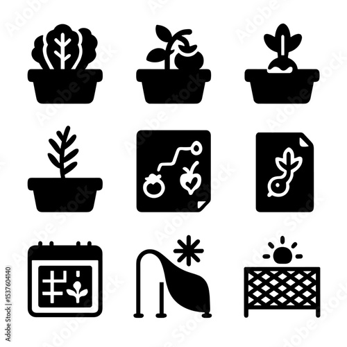 Seasonal Planting Icons. Solid, filled icons set of seasonal balcony planting: spring lettuce, summer tomato,