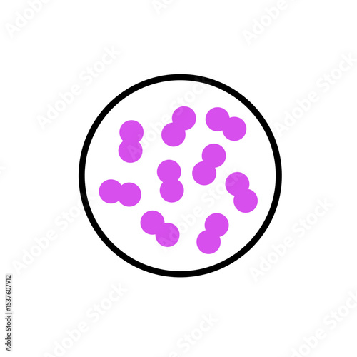 pneumococcal infection vector