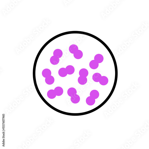pneumococcal infection vector