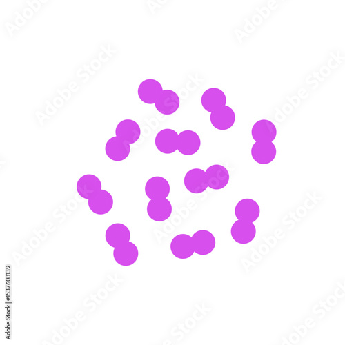 pneumococcal infection vector