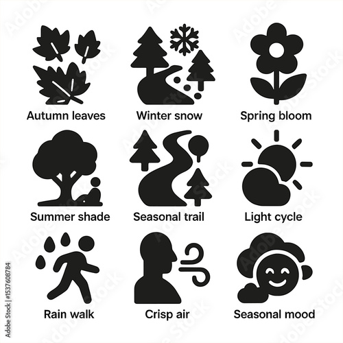 Seasonal Forest Therapy Icons. Solid, filled icons set of seasonal forest therapy themes: autumn leaves,