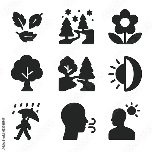 Seasonal Forest Icons. Solid, filled icons set of seasonal forest therapy themes: autumn leaves, winter snow