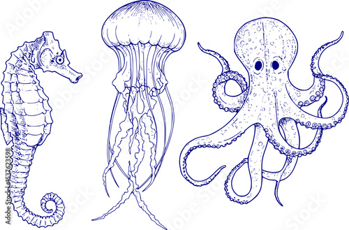 Vector set with Sea Animals. Hand drawn sketch of Seahorse, Jellyfish and Octopus. Illustration with underwater sealife painted by black inks in line art style. Engraving of medusa for icon or logo.