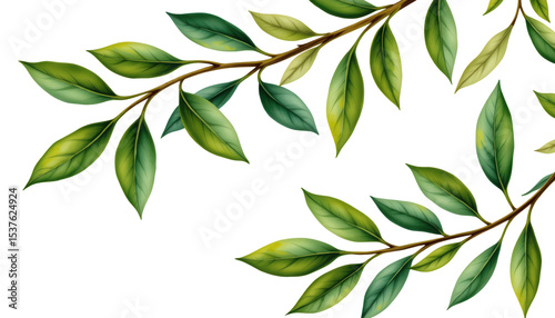 Colorful Green and Gold Leaves on Branches with Detailed Textures and Natural Shades for Floral Designs