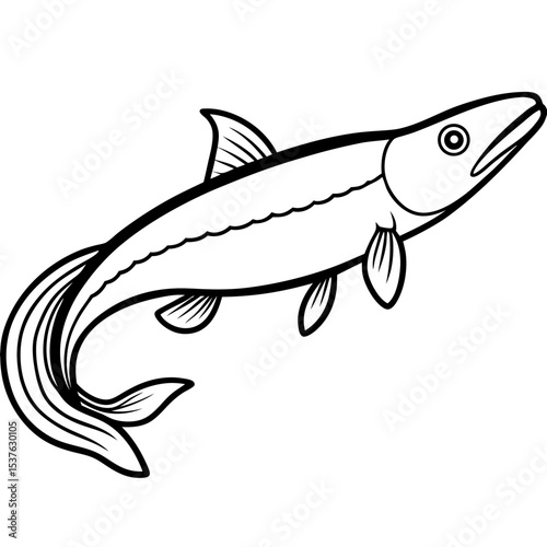 Simple Bichir Vector on White