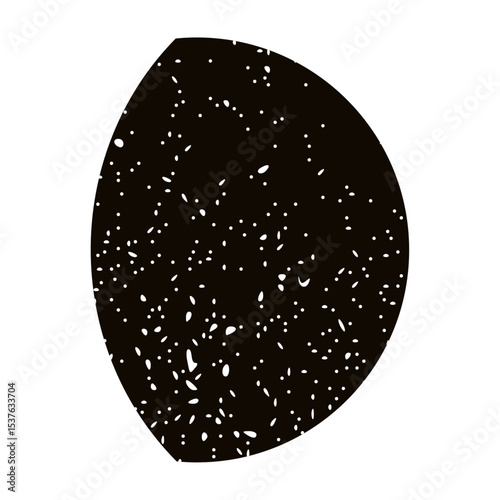 Lunar moon phases with crescent, half, and full cycle, celestial night sky elements, black and white astronomy icon set. Flat vector illustration isolated on white background.