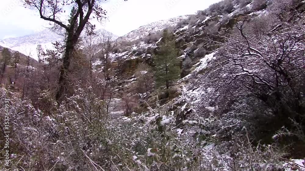 Kern Canyon Winter 3 MS