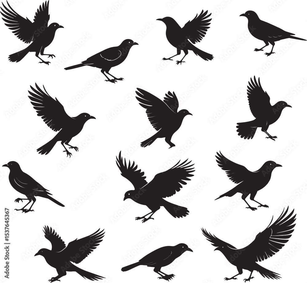 Fototapeta premium Set of Bird Silhouettes in Various Poses