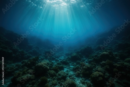 Wallpaper Mural Mysterious underwater seascape featuring sunlight penetration and rocky ocean floor exploration for marine biology and ocean conservation Torontodigital.ca