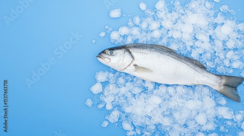 Fresh fish on ice