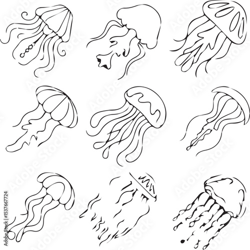 set Hand drawn black line jellyfish on white background. Fully editable vector illustration