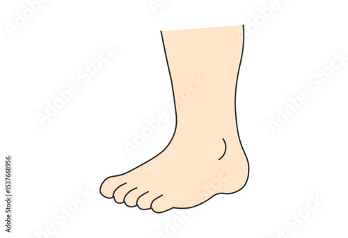 Healthy Heel and Foot Illustration – Skincare & Foot Care Concept

