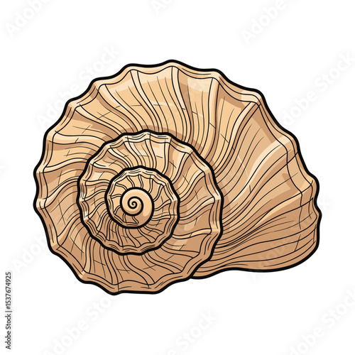 Detailed illustration of a seashell isolated on a white background, perfect for design use