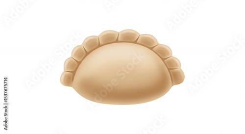 Isolated pierogi or dumpling illustration