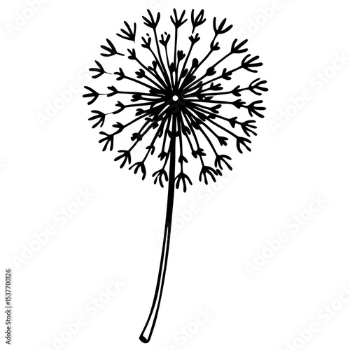 Dandelion Illustration