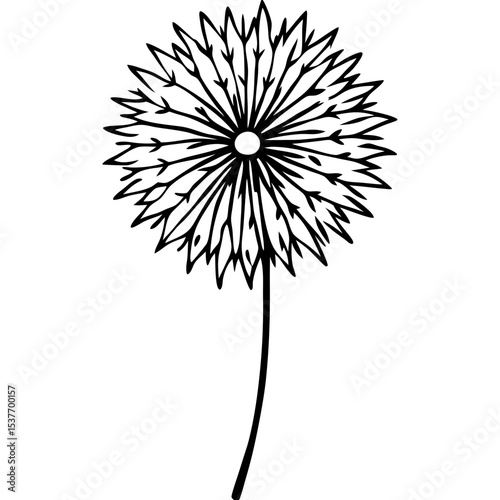 Dandelion Illustration