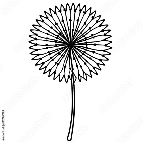 Dandelion Illustration