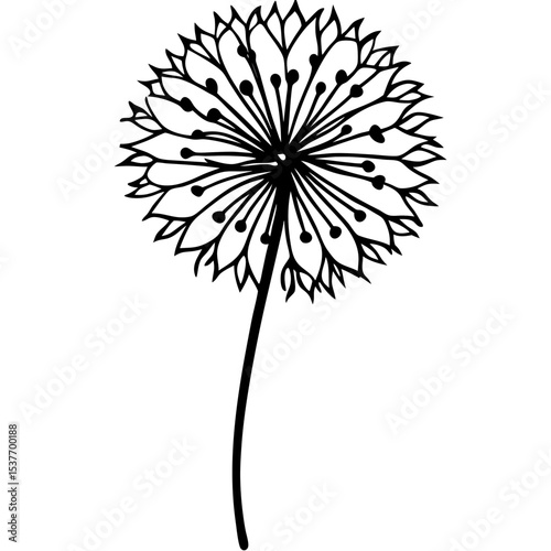Dandelion Illustration