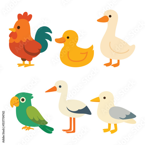 Set of cartoon birds including rooster, duck, goose, parrot, stork, and seagull. Flat colorful illustration on white background. Bird species and avian animals concept. Design for sticker, card