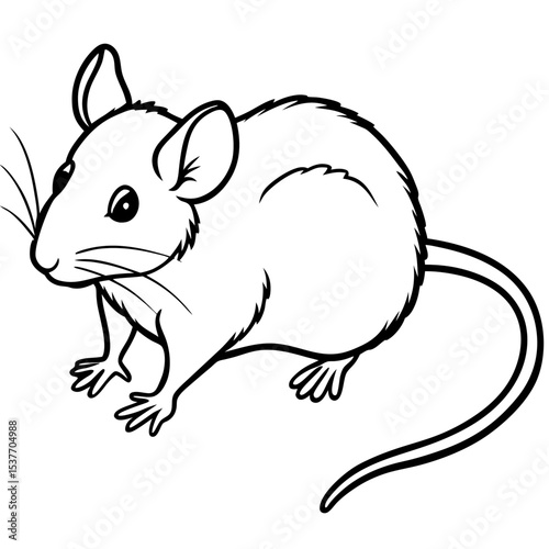Minimal Mouse Vector on White