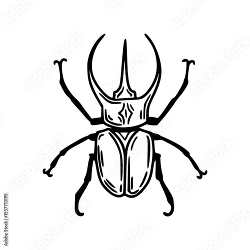 stag beetle outline drawing