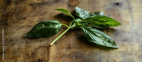 Fresh basil sprig resting on a rustic textured wooden surface with soft lighting