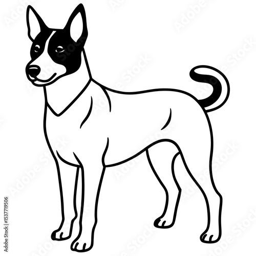 Canaan Dog Vector on White