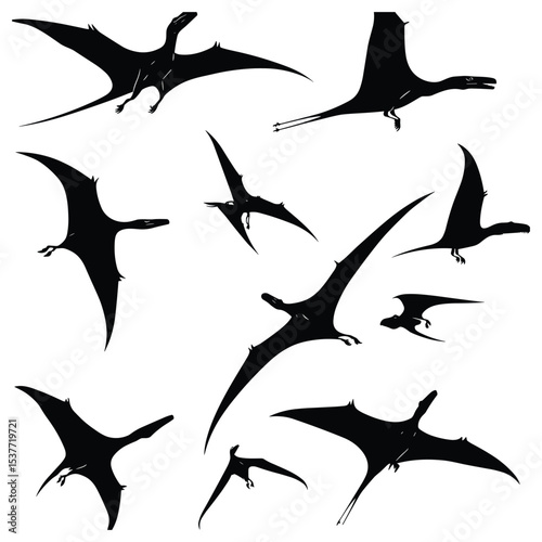 Diverse Pterodactyl Dinosaurs Flying Silhouettes