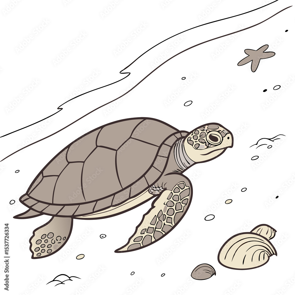 Fototapeta premium gentle tortoise sandy transparent 