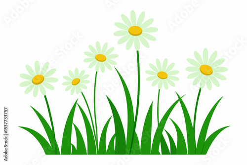 Five daisies in green grass illustration