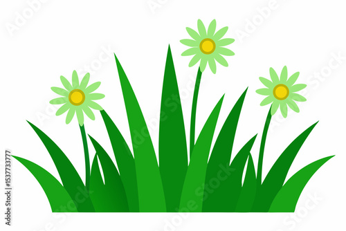 Simple green grass with three daisies illustration