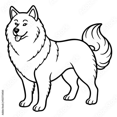 Canadian Eskimo Dog Vector on White