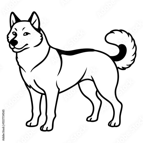 Canadian Eskimo Dog Vector on White