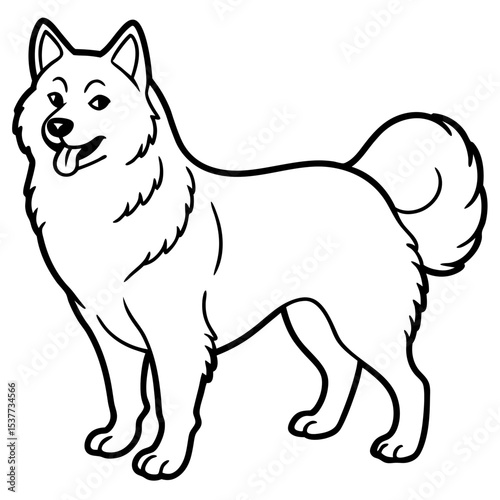 Canadian Eskimo Dog Vector on White