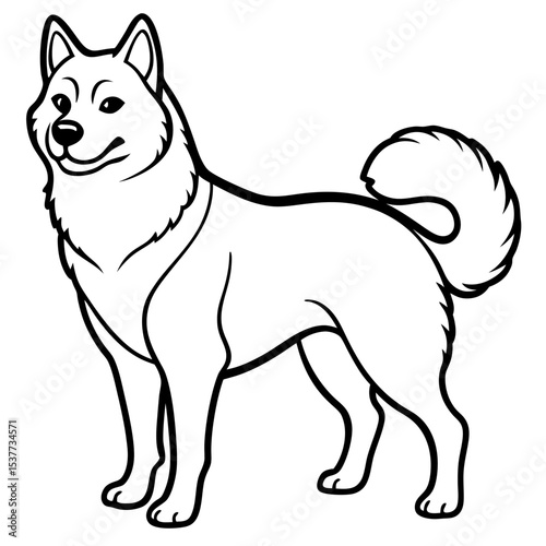 Canadian Eskimo Dog Vector on White