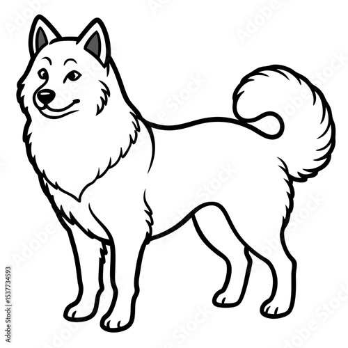 Canadian Eskimo Dog Vector on White