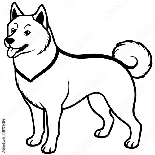 Canadian Eskimo Dog Vector on White