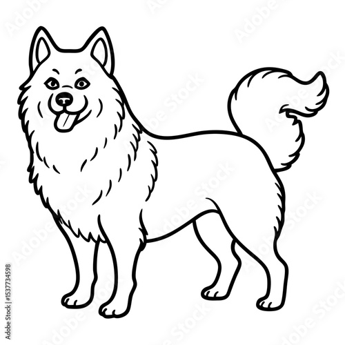 Canadian Eskimo Dog Vector on White